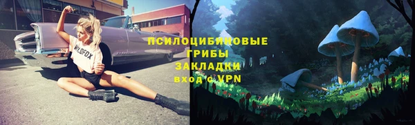 дурь Богданович
