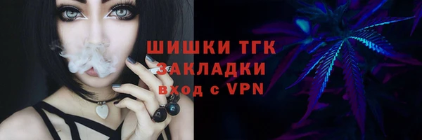 хмурый Богородицк
