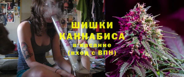 дурь Богданович