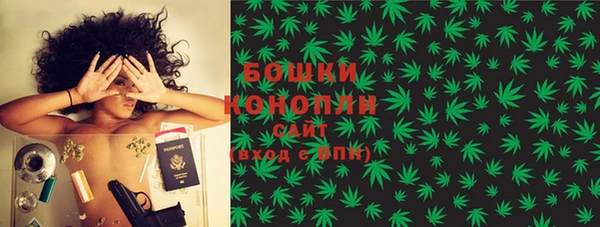 дурь Богданович