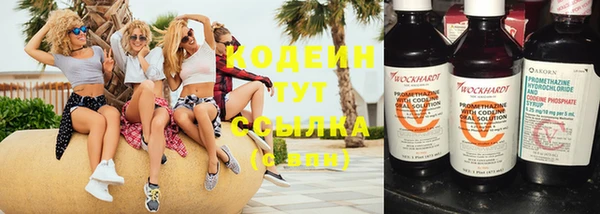 дурь Богданович