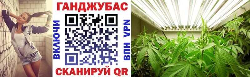 МЕГА маркетплейс  Ярославль  Шишки марихуана SATIVA & INDICA 